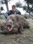 arnirs california hog hunt.jpg