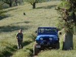 jeep3.jpg