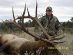 2009 elk pics.jpg