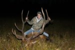 Bull Elk 2.jpg