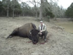 buffalome.jpg
