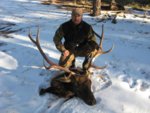 2010_Bull_Elk2.jpg