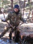 2010_Bull_Elk.jpg