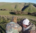 4. Running Pig 1.jpg