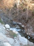 IMG_5306.jpg