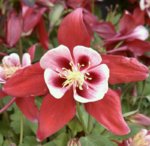 uploadfromtaptalk1304207654873.jpg uploadfromtaptalk1304207654873.jpg