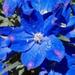 uploadfromtaptalk1304208004050.jpg uploadfromtaptalk1304208004050.jpg