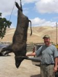 2011 Tejon Hog Hunt 024.jpg