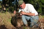 6-17-11 hog 2.JPG