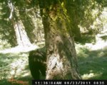 hunt 035.jpg
