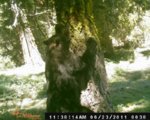 hunt 038.jpg