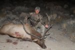 My Elk 2011 #2.jpg
