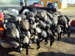 canada2011 066.jpg