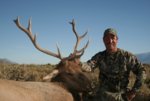 elk killing 060 - Copy.JPG