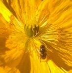 uploadfromtaptalk1328076037243.jpg uploadfromtaptalk1328076037243.jpg