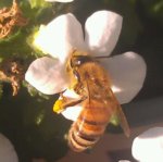 uploadfromtaptalk1328076579255.jpg uploadfromtaptalk1328076579255.jpg