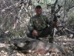 8-7-12 public land pig 008.jpg