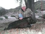 Boar 1-31-13.JPG