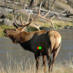 quater_away.jpg quater_away.jpg