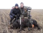 Wild Boar 150kgs BowHunt.jpg
