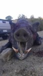 Dads hog 2.jpg