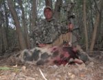 5-5-2013 Heart Shot Hog.jpg
