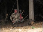 wild pig.jpg