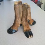 Elk feet1.jpg Elk feet1.jpg