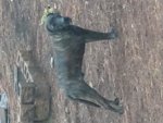 IMG_20190110_161021840.jpg