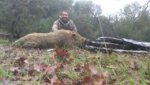 ! hog hunting 019.jpg