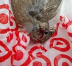 WP_20160509_002.jpg WP_20160509_002.jpg