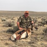 Pronghorn-3.jpg