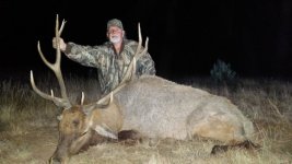 bull_2.jpg bull_2.jpg