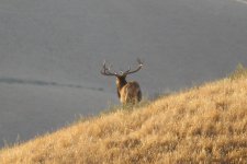 46290260162_125d11e898_z.jpg 46290260162_125d11e898_z.jpg