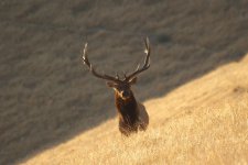 44523836140_bbddfb8c38_z.jpg 44523836140_bbddfb8c38_z.jpg