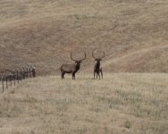 38715008890_a3d585eaee_z.jpg 38715008890_a3d585eaee_z.jpg