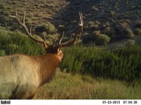 26653777028_4317b4bb5e_z.jpg 26653777028_4317b4bb5e_z.jpg