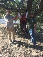 2F18170A-FCD5-4C39-AFCC-79BCDFCA0F61.jpeg 2F18170A-FCD5-4C39-AFCC-79BCDFCA0F61.jpeg