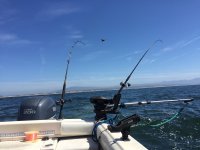 FAC8478F-3982-40C1-A7B4-057E3BE02FF7.jpeg FAC8478F-3982-40C1-A7B4-057E3BE02FF7.jpeg