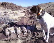 63B5D0F0-DFD8-4B93-B6D9-C1BBB4FD4742.jpeg 63B5D0F0-DFD8-4B93-B6D9-C1BBB4FD4742.jpeg