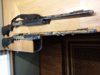 The Death Wands .jpg The Death Wands .jpg