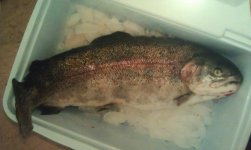 IMAG1090.jpg