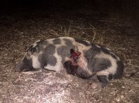 IMG_8138.jpg IMG_8138.jpg