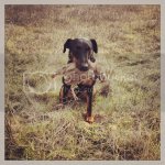 IMG_1519.jpg IMG_1519.jpg