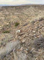 FA6CFD94-B92C-41D5-9684-B2E77CA83F7E.jpeg FA6CFD94-B92C-41D5-9684-B2E77CA83F7E.jpeg