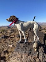 819B9D17-36B2-4DE3-B5AE-C74A78F3370A.jpeg 819B9D17-36B2-4DE3-B5AE-C74A78F3370A.jpeg