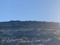 8B1947ED-CF7F-4FF5-B338-5A17C0230D89.jpeg 8B1947ED-CF7F-4FF5-B338-5A17C0230D89.jpeg