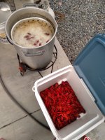 Craw2.jpeg Craw2.jpeg