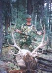 94Elk.jpg