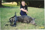 phillips_hog_5.jpg